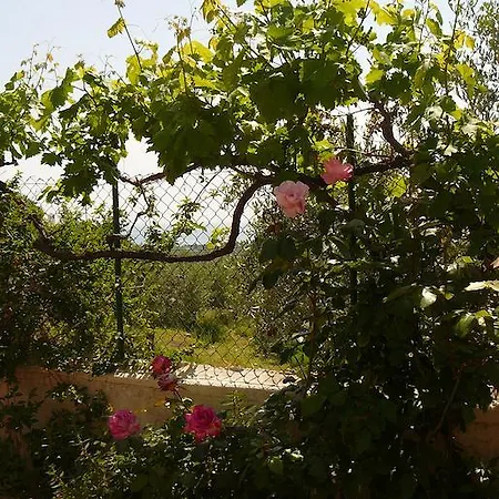 호텔 Wine & Roses *