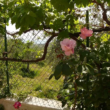 Hotell Wine & Roses *