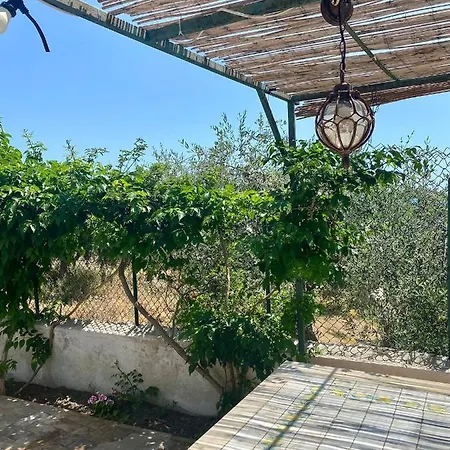 Wine & Roses Mattinata