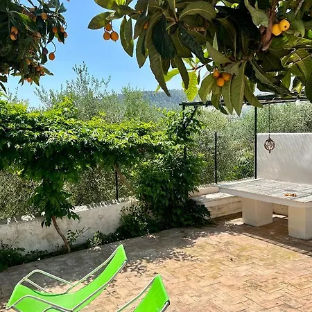 ホテル Wine & Roses *