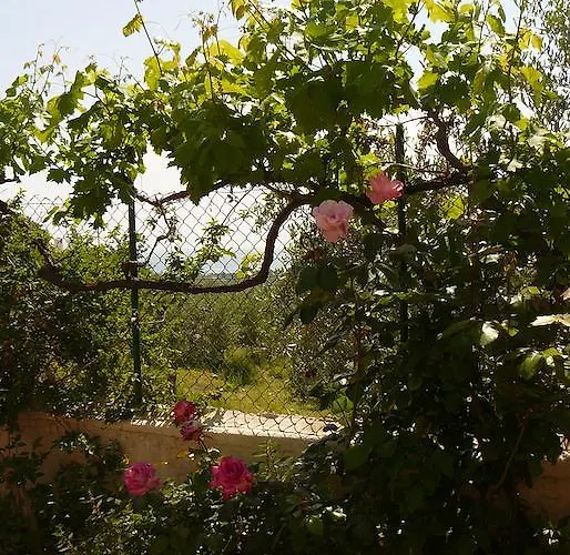 Hotel Wine & Roses *